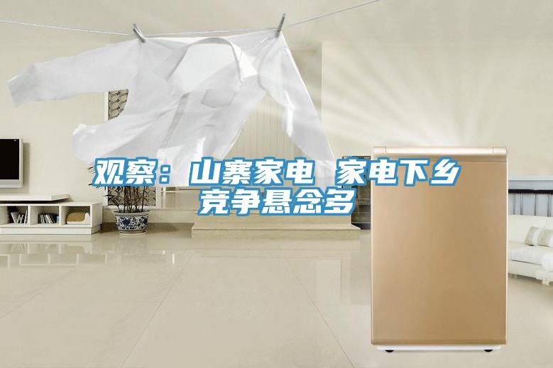 觀察：山寨家電 家電下鄉競爭懸念多