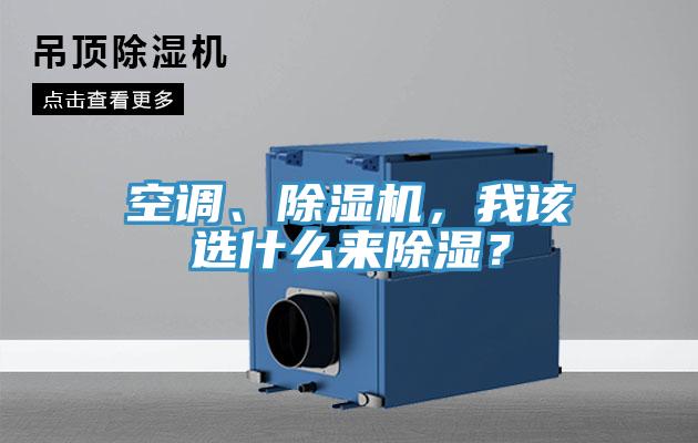 空調、蘑菇视频网站，我該選什麽來除濕？