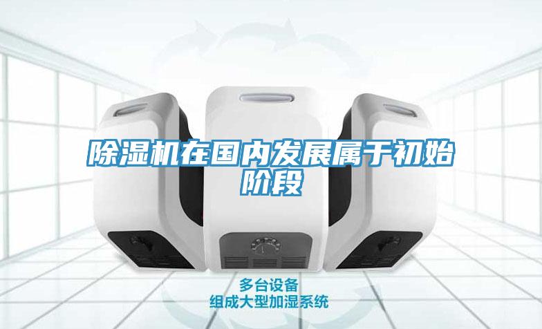 蘑菇视频网站在國內發展屬於初始階段