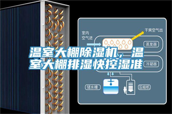 溫室大棚蘑菇视频网站，溫室大棚排濕快控濕準