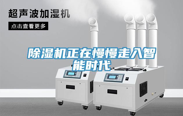 蘑菇视频网站正在慢慢走入智能時代
