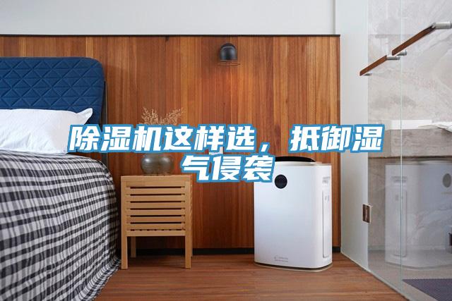 蘑菇视频网站這樣選，抵禦濕氣侵襲
