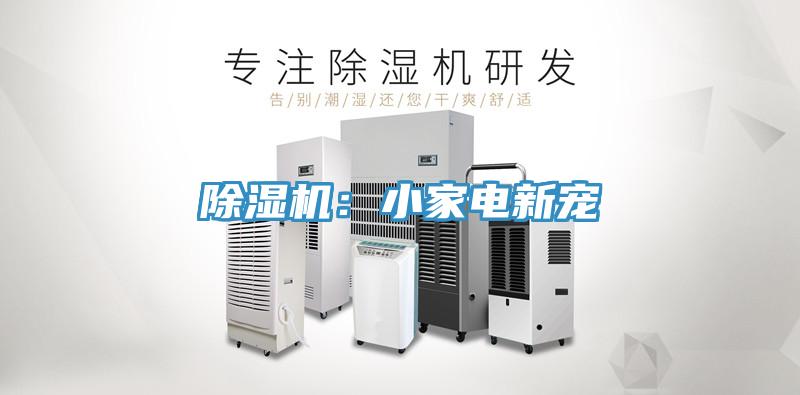 蘑菇视频网站：小家電新寵