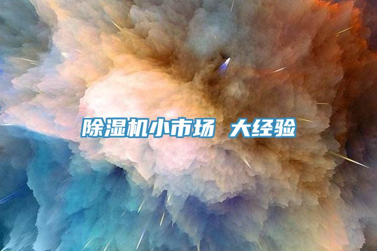 蘑菇视频网站小市場 大經驗