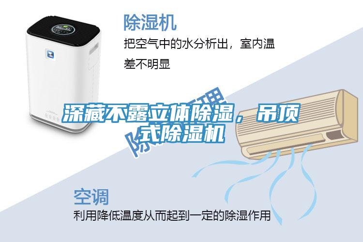 深藏不露立體除濕，吊頂式蘑菇视频网站