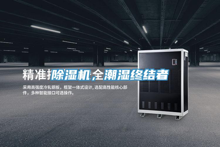 蘑菇视频网站，潮濕終結者
