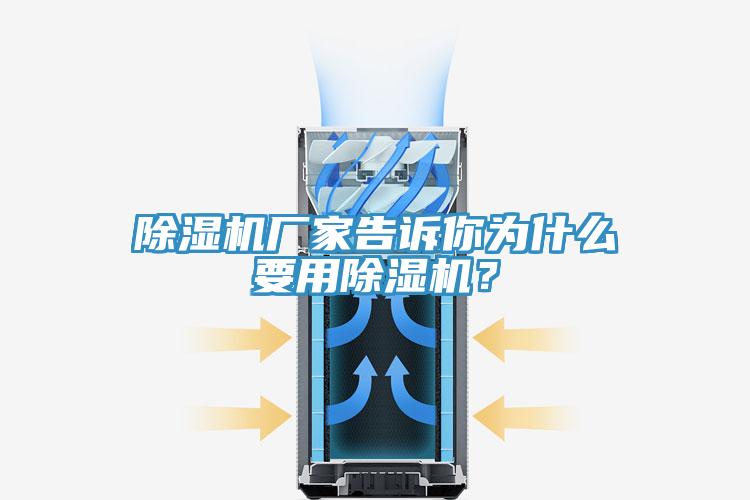 蘑菇视频网站廠家告訴你為什麽要用蘑菇视频网站？