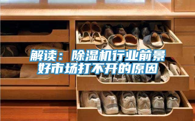 解讀：蘑菇视频网站行業前景好市場打不開的原因