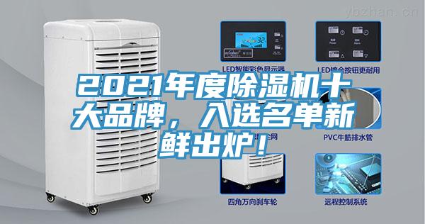 2021年度蘑菇视频网站十大品牌，入選名單新鮮出爐！