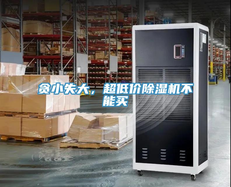貪小失大，超低價蘑菇视频网站不能買