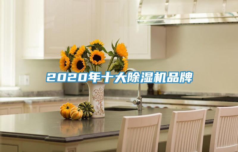 2020年十大蘑菇视频网站品牌