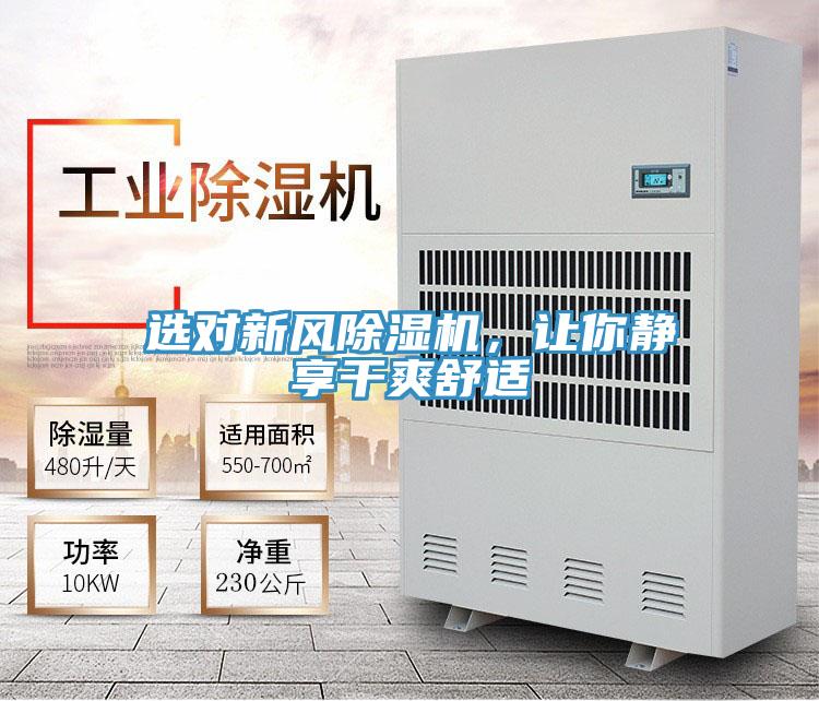 選對新風蘑菇视频网站，讓你靜享幹爽舒適