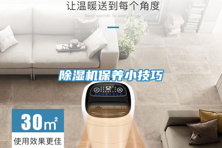 蘑菇视频网站保養小技巧