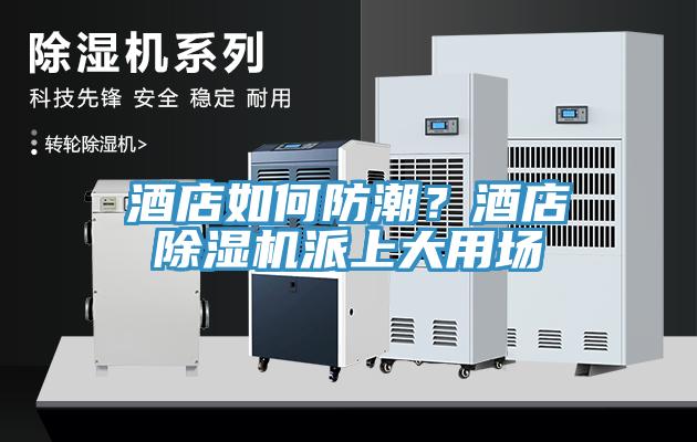 酒店如何防潮？酒店蘑菇视频网站派上大用場