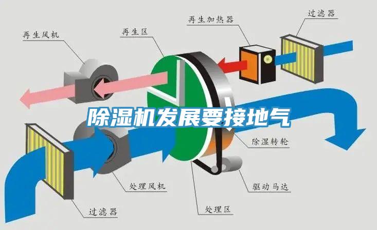 蘑菇视频网站發展要接地氣