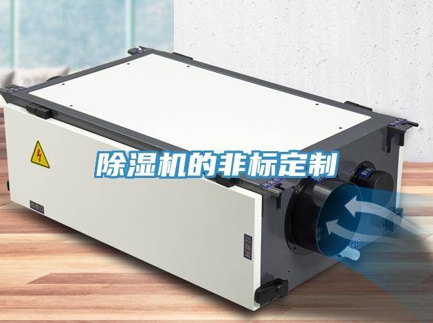 蘑菇视频网站的非標定製