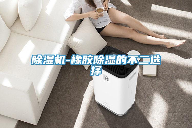 蘑菇视频网站-橡膠除濕的不二選擇