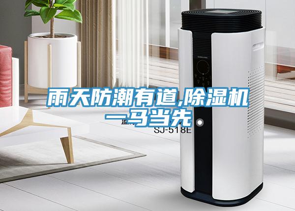 雨天防潮有道,蘑菇视频网站一馬當先