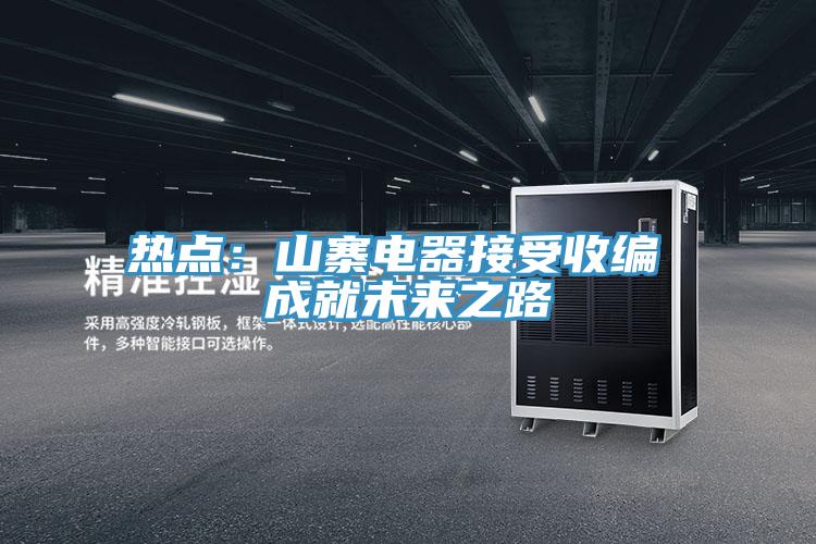 熱點：山寨電器接受收編 成就未來之路
