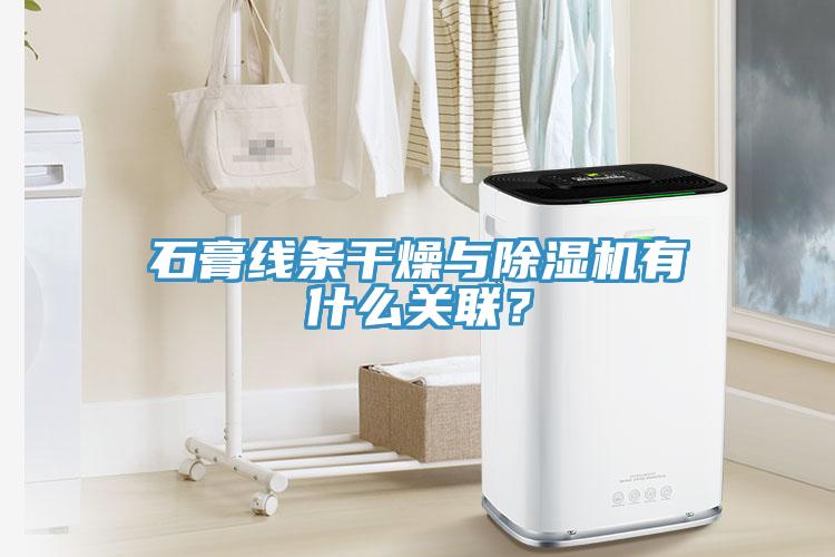 石膏線條幹燥與蘑菇视频网站有什麽關聯？