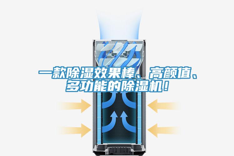 一款除濕效果棒、高顏值、多功能的蘑菇视频网站！