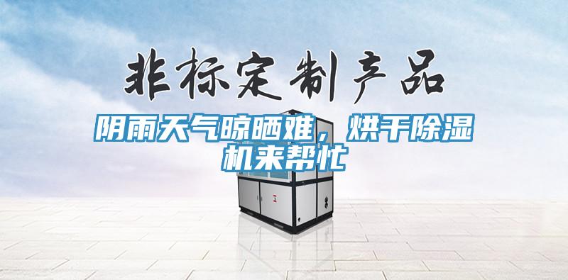 陰雨天氣晾曬難，烘幹蘑菇视频网站來幫忙