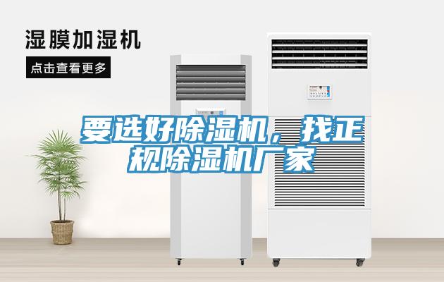 要選好蘑菇视频网站，找正規蘑菇视频网站廠家