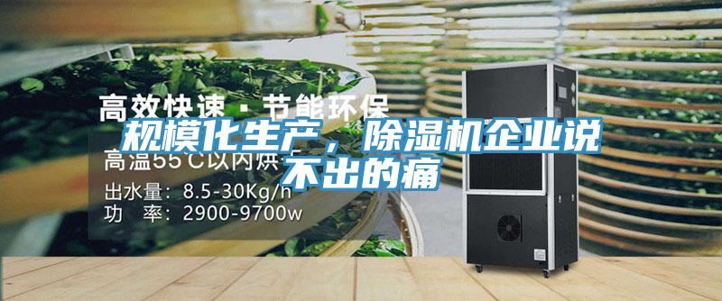 規模化生產，蘑菇视频网站企業說不出的痛