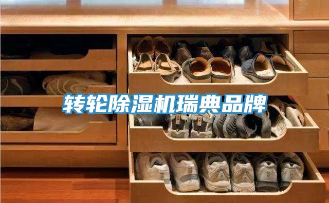 轉輪蘑菇视频网站瑞典品牌