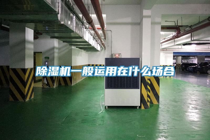 蘑菇视频网站一般運用在什麽場合