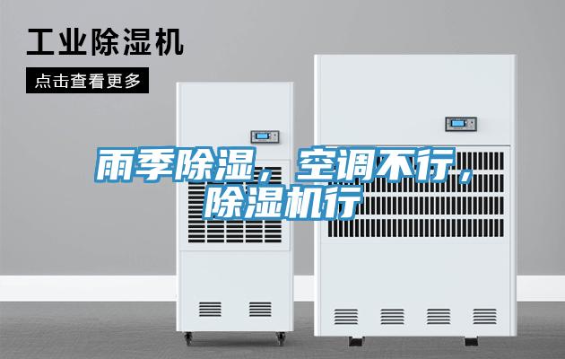 雨季除濕，空調不行，蘑菇视频网站行