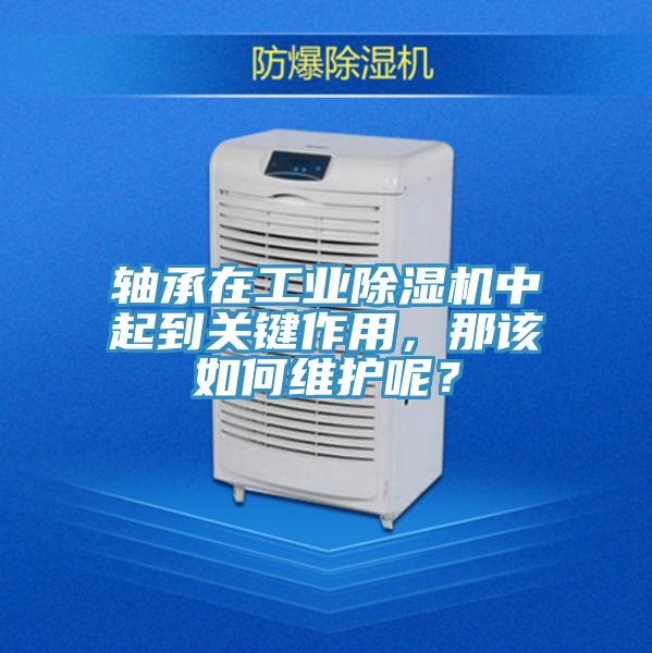 軸承在工業蘑菇视频网站中起到關鍵作用，那該如何維護呢？
