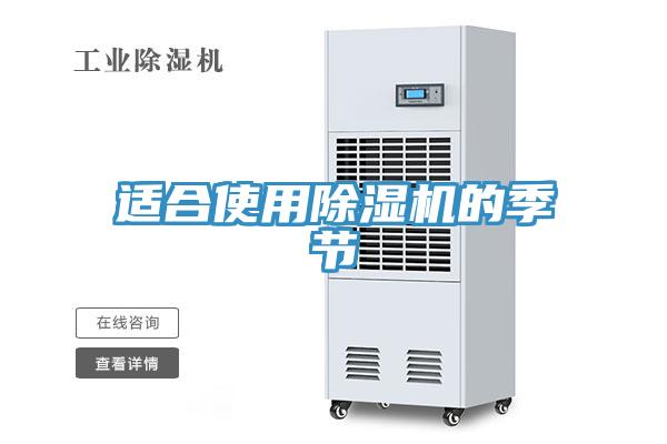 適合使用蘑菇视频网站的季節