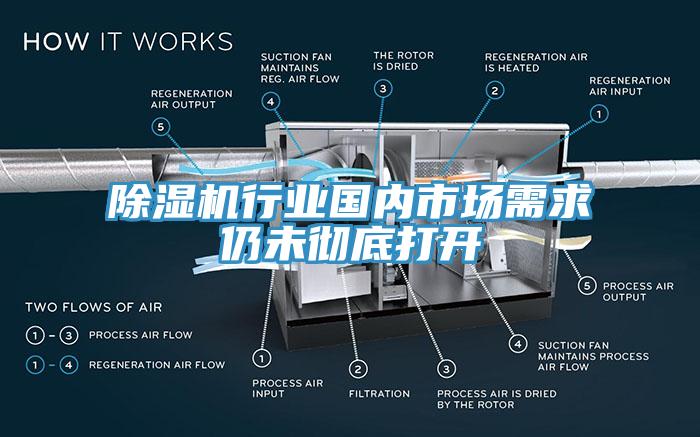 蘑菇视频网站行業國內市場需求仍未徹底打開