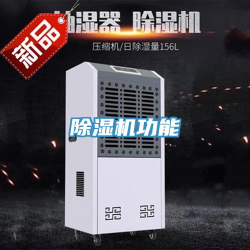 蘑菇视频网站功能