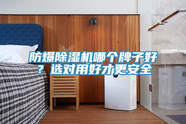防爆蘑菇视频网站哪個牌子好？選對用好才更安全