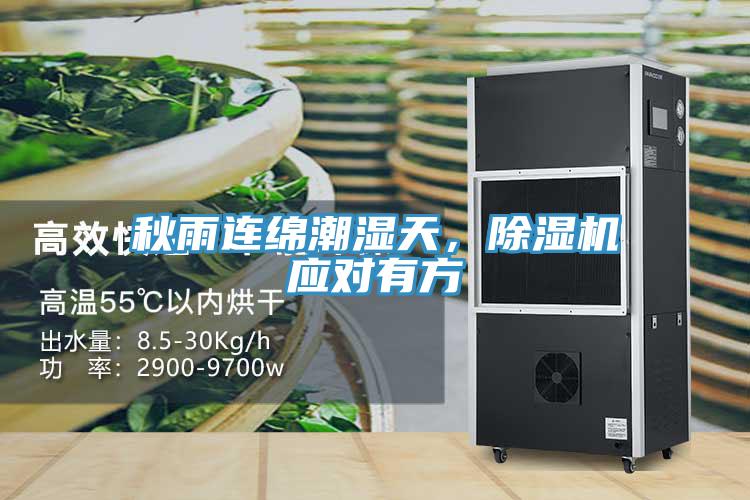 秋雨連綿潮濕天，蘑菇视频网站應對有方