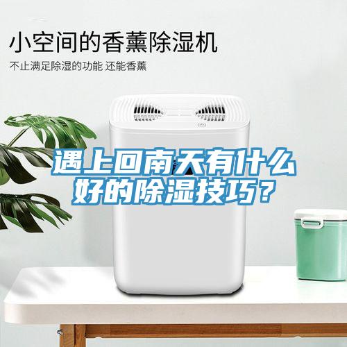 遇上回南天有什麽好的除濕技巧？