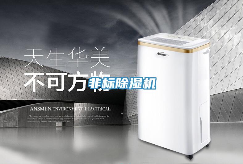 非標蘑菇视频网站