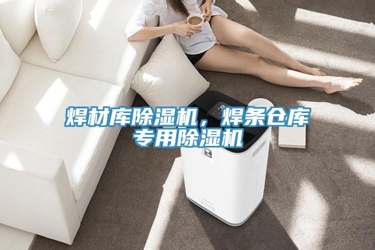 焊材庫蘑菇视频网站，焊條倉庫專用蘑菇视频网站