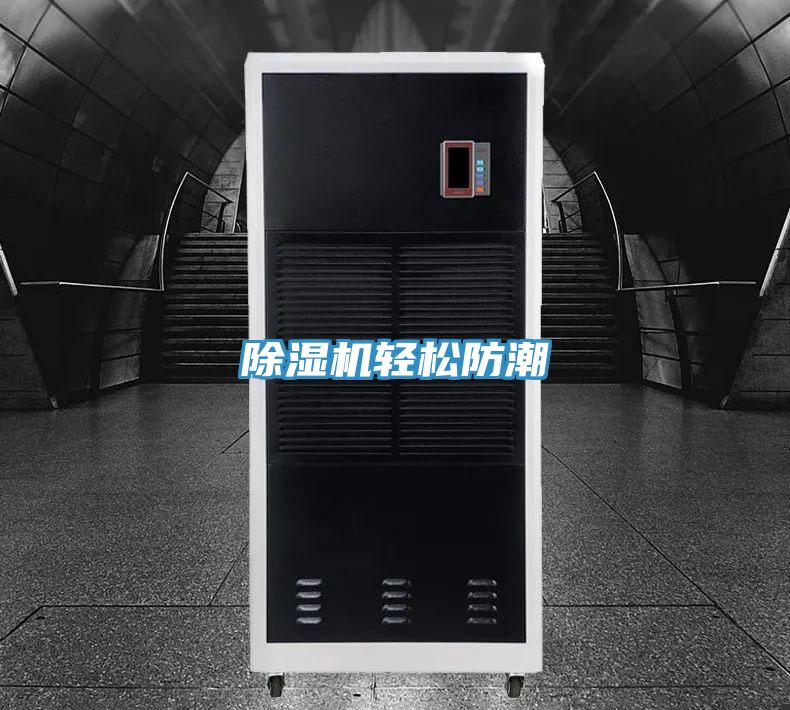 蘑菇视频网站輕鬆防潮