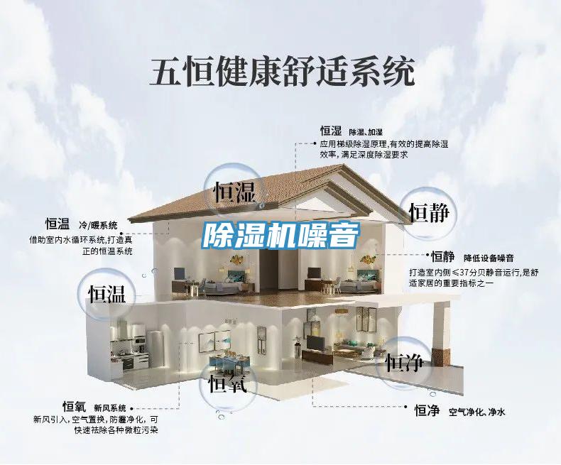 蘑菇视频网站噪音