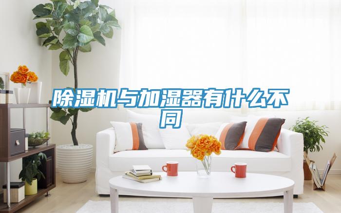 蘑菇视频网站與加濕器有什麽不同