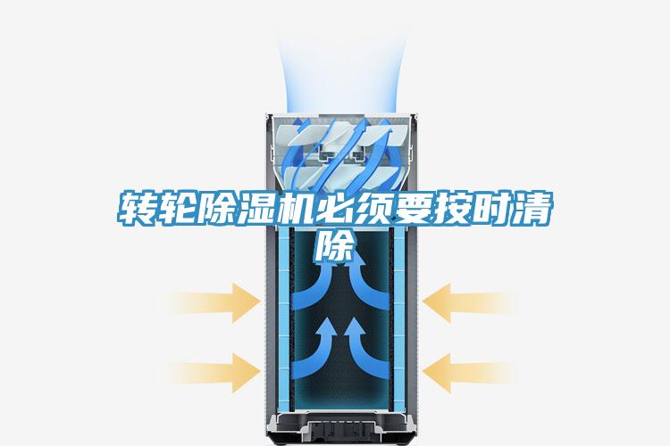 轉輪蘑菇视频网站必須要按時清除