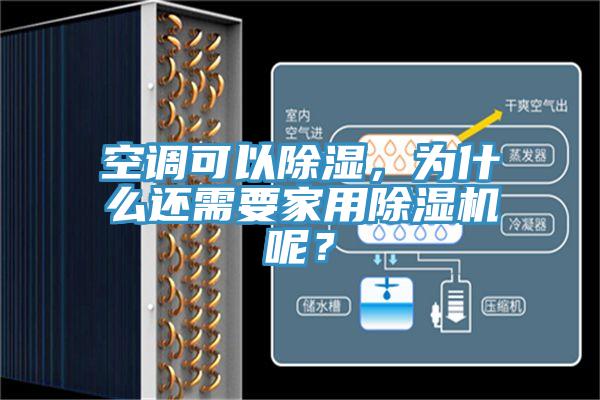 空調可以除濕，為什麽還需要家用蘑菇视频网站呢？
