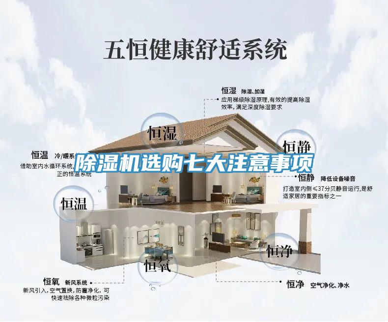 蘑菇视频网站選購七大注意事項