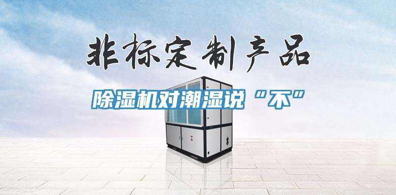 蘑菇视频网站對潮濕說“不”