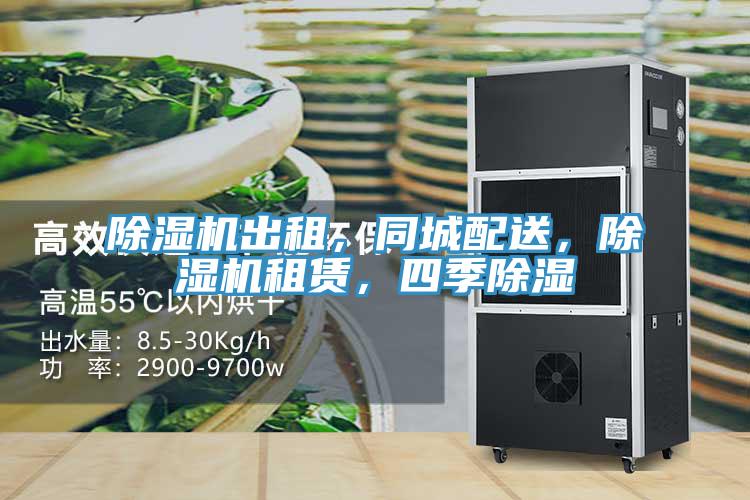 蘑菇视频网站出租，同城配送，蘑菇视频网站租賃，四季除濕
