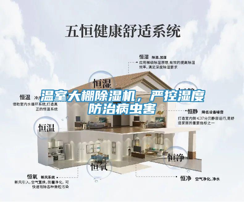 溫室大棚蘑菇视频网站，嚴控濕度防治病蟲害