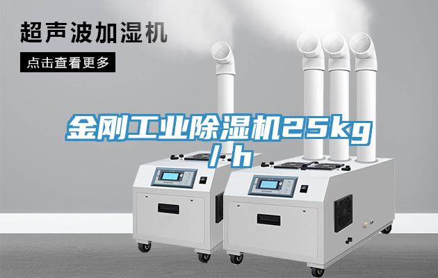 金剛工業蘑菇视频网站25kg／h